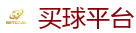 2026 FIFA 世界杯(下注)官方中文站